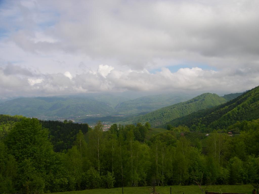 Pensiunea Bujor De Munte Petroşani Exterior foto